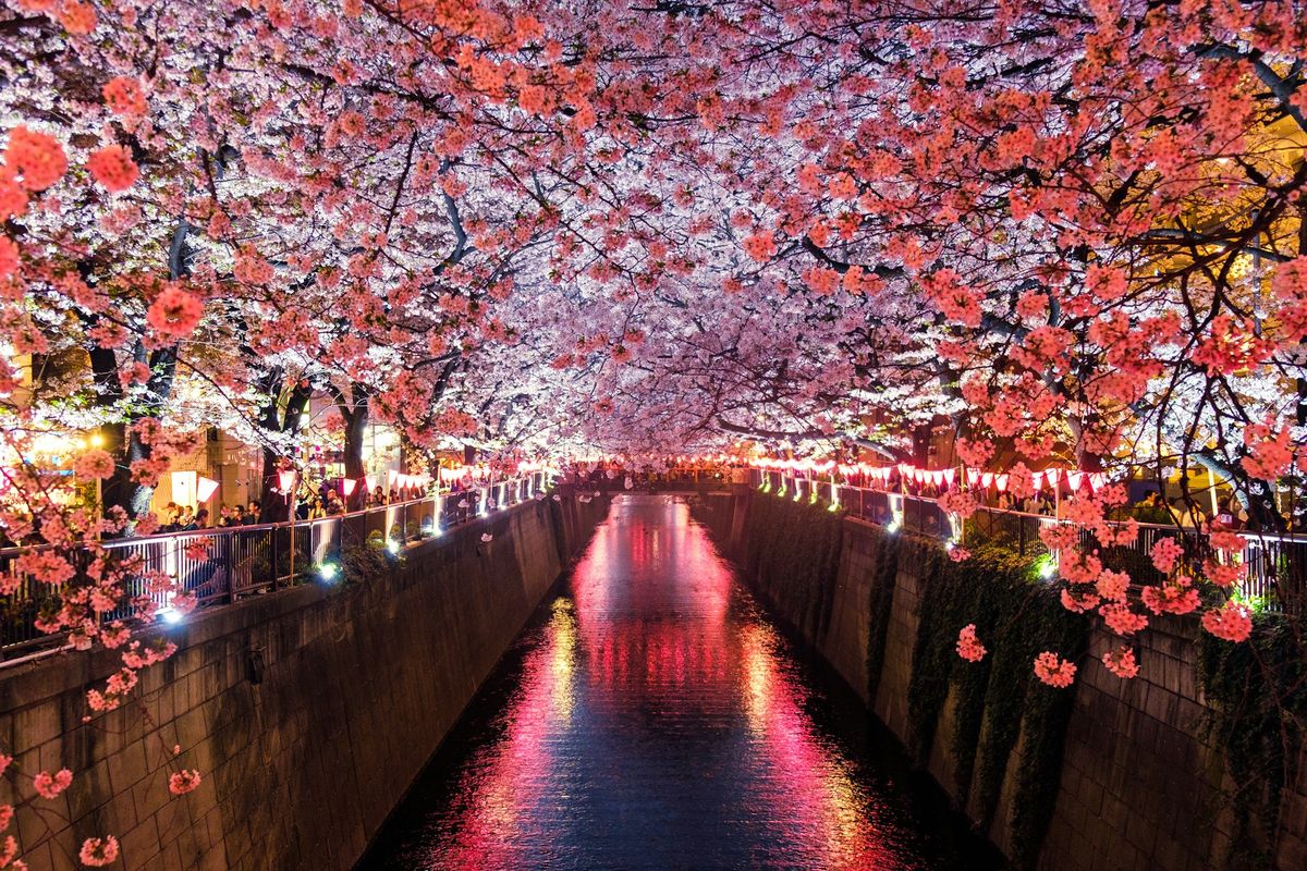 Fall Foliage in Kyoto during Autumn (Sep-Nov)